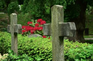 Steinkreuze vor einer Hecke auf dem Friedhof