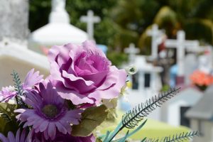 Lila Blüten mit Friedhofskreuzen im Hintergrund
