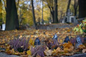 Bild von Grablichtern im Herbst zu Allerheiligen